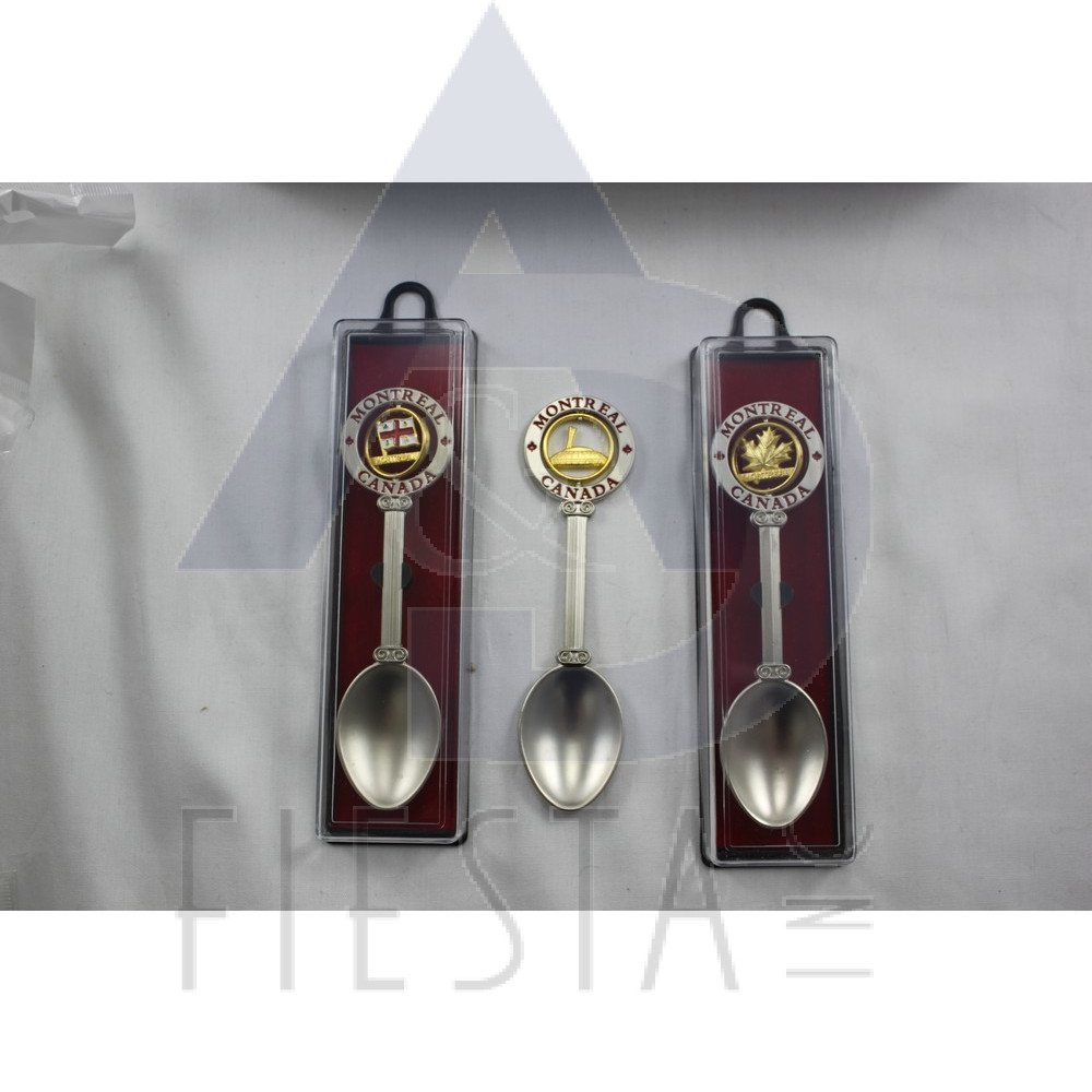 MONTREAL SPOON IN ACRYLIC BOX 6 ASSORTED 