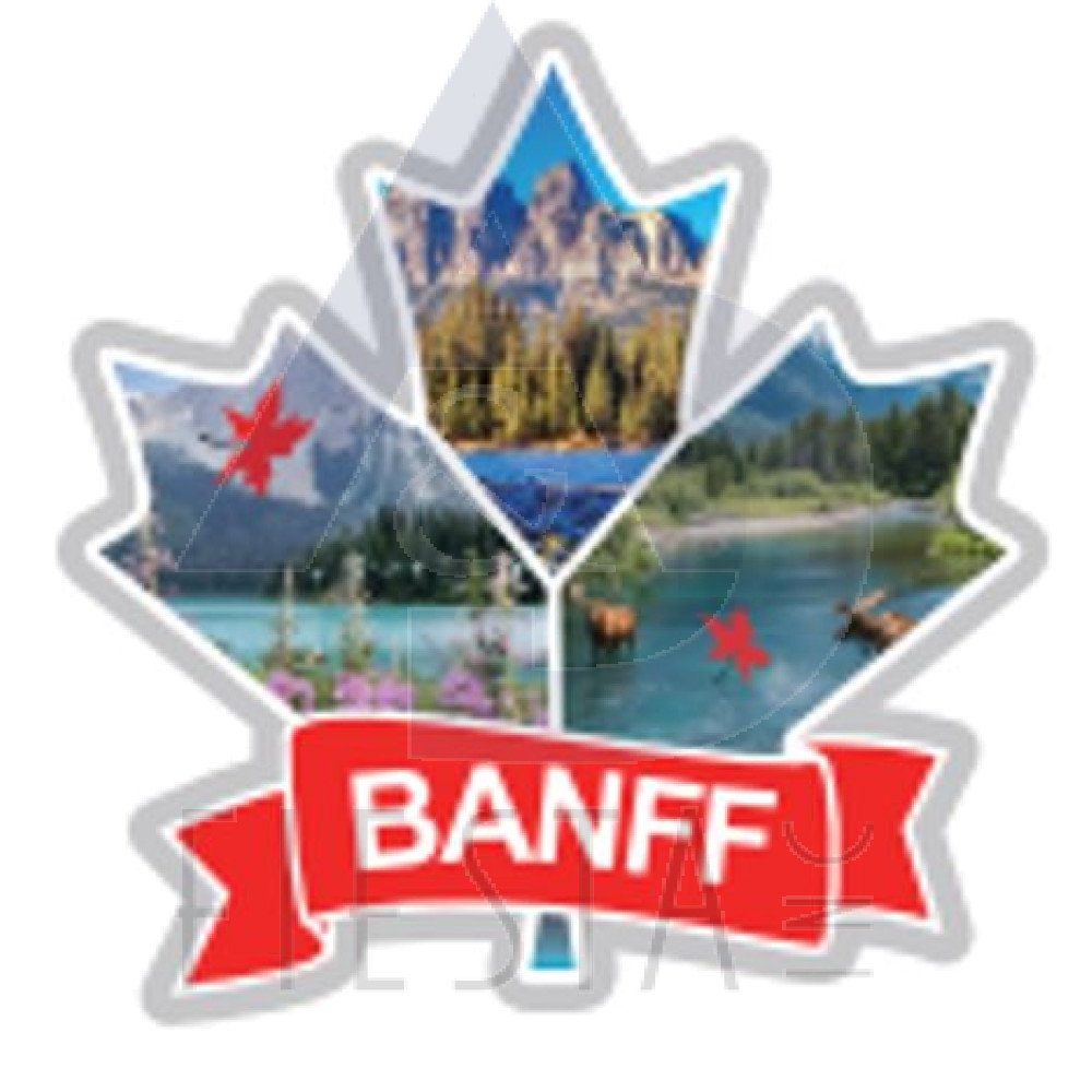 BANFF FOIL MAGNET STYLE #7