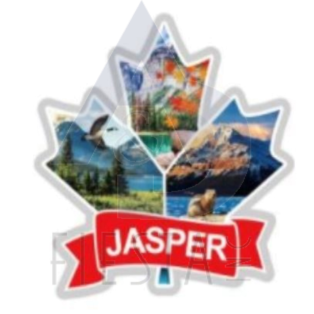 JASPER FOIL MAGNET STYLE #8