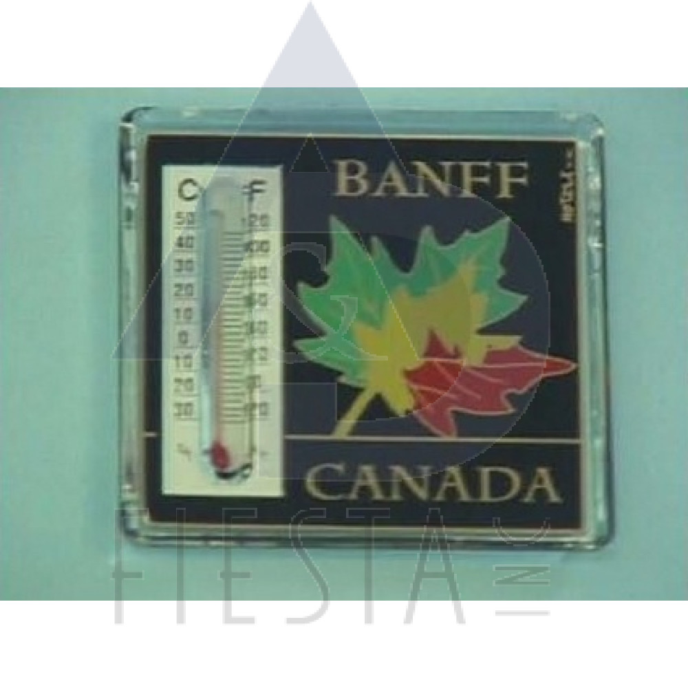 BANFF ACRYLIC THERMOMETER