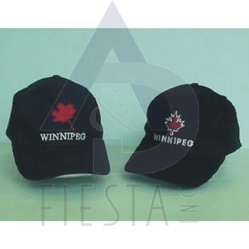 WINNIPEG BRUSHED COTTON CAP 4 ASSORTED