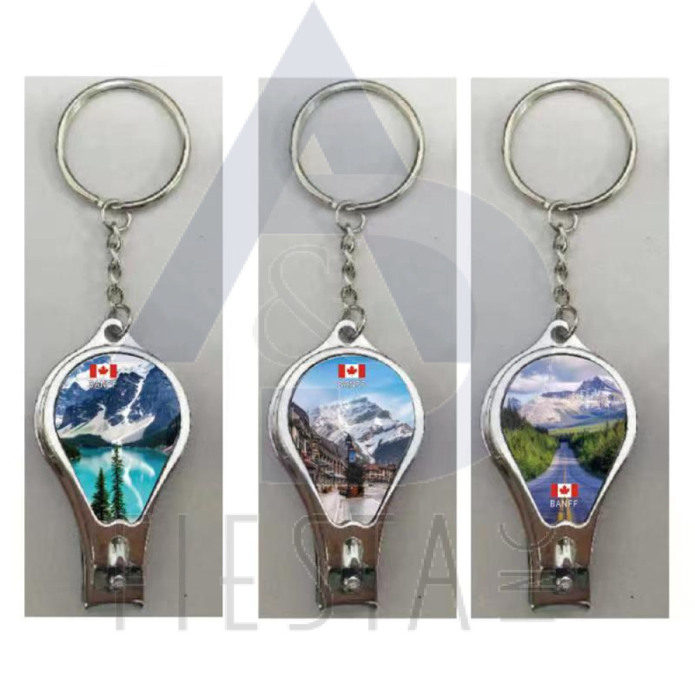 BANNF NAIL CLIPPER WITH ASST PICTURES KEY CHAIN 