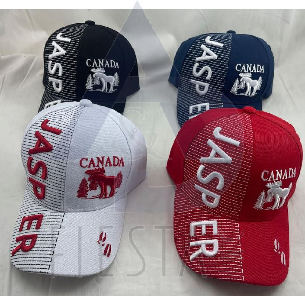 JASPER CAP WITH 3D “JASP” ON CAP "ER" ON VISER WITH MOOSE IN FORECT ASSORTED COLORS