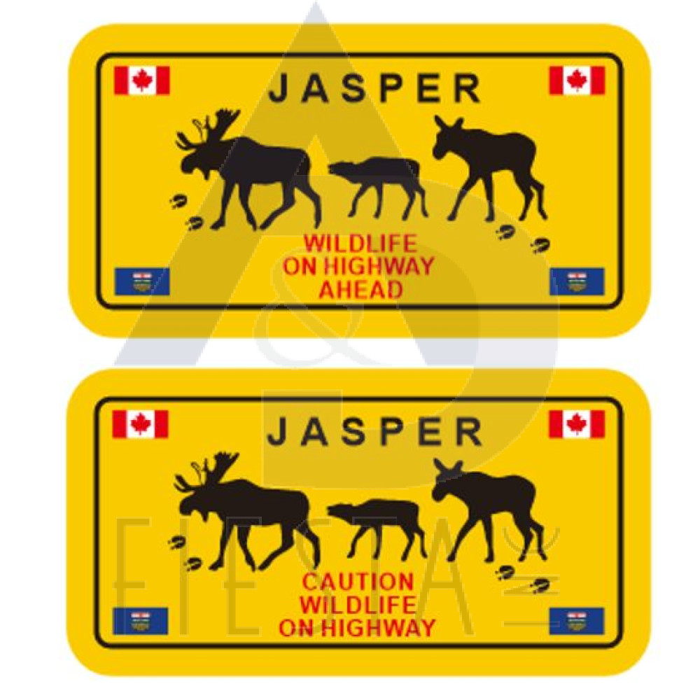 JASPER METAL LICENSE PLATE "CAUTION WITH MOOSES" 2 ASSORTED 10X5 MAGNET