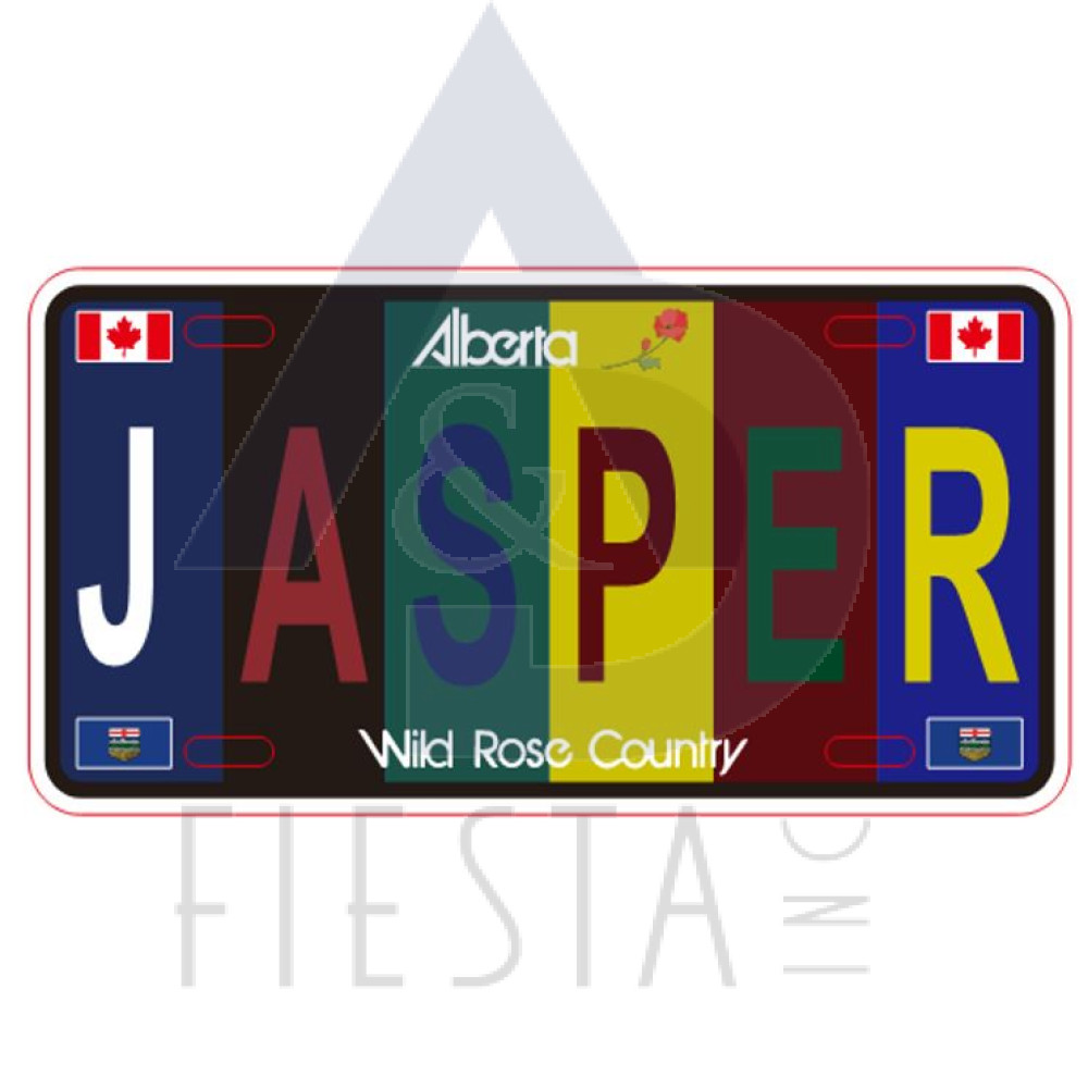 JASPER METAL LICENSE PLATE "JASPER" MULTI DARK COLOR 10X5 CM MAGNET