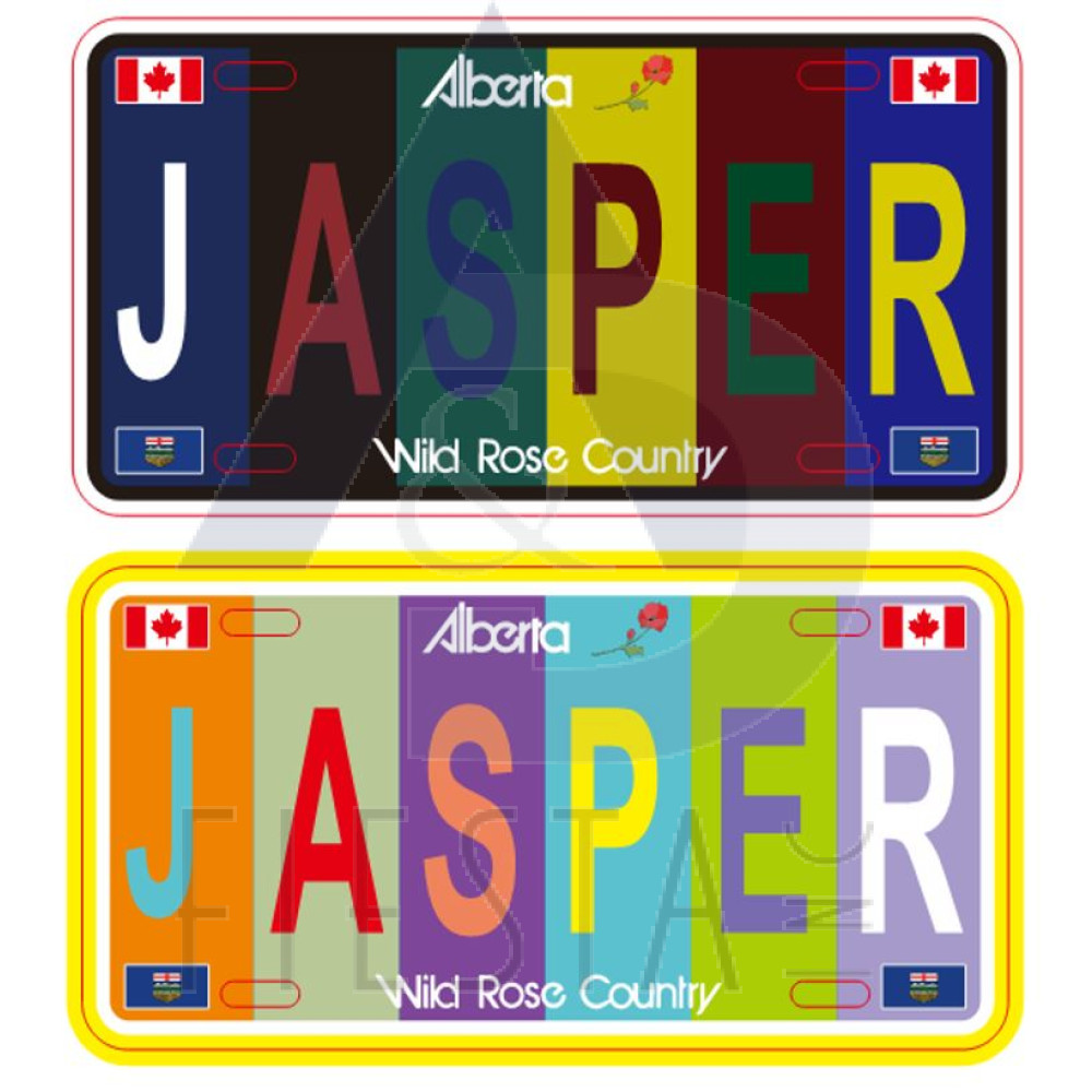 JASPER "FOIL" LICENSE PLATE "JASPER" MULTI DARK/LIGHT COLOR ASSORTED 10X5 CM MAGNET
