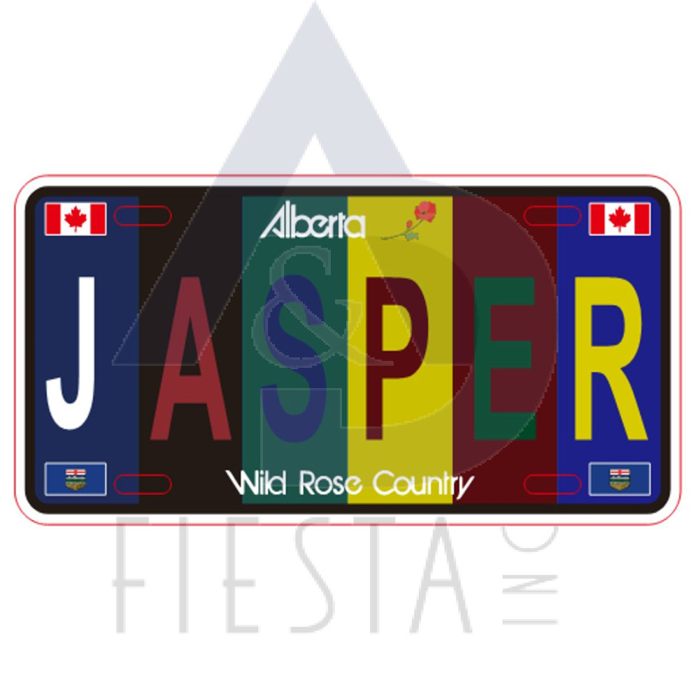 JASPER LARGE SIZE LICENSE PLATE "JASPER" MULTI DARK COLOR 30X15 CM