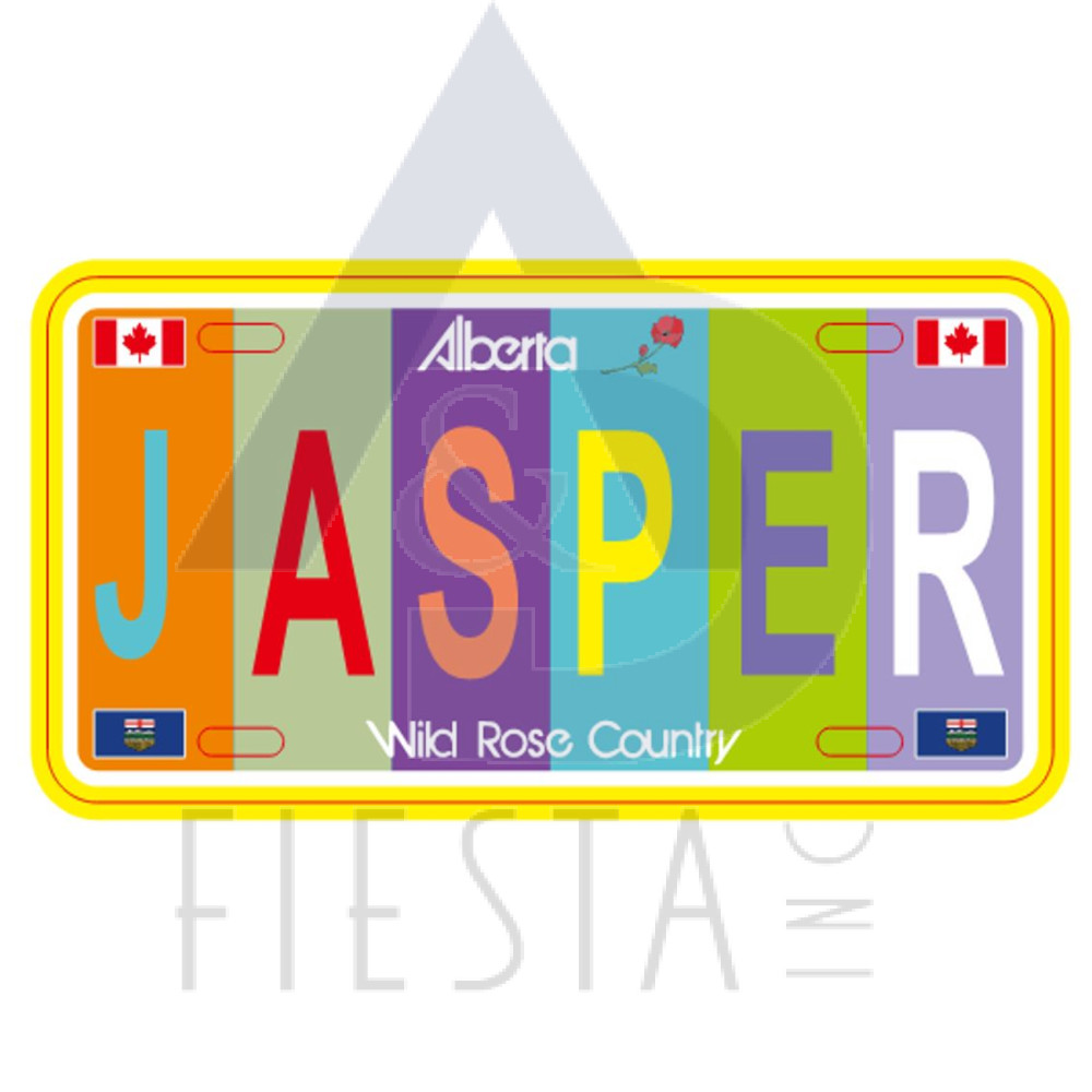 JASPER LARGE SIZE LICENSE PLATE "JASPER" MULTI LIGHT COLOR 30X15 CM