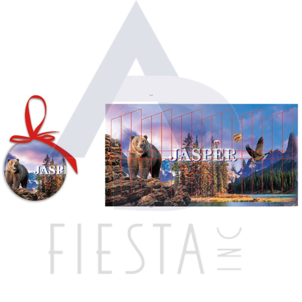 JASPER CHRISTMAS BALL WITH PICTURE IN BOX
