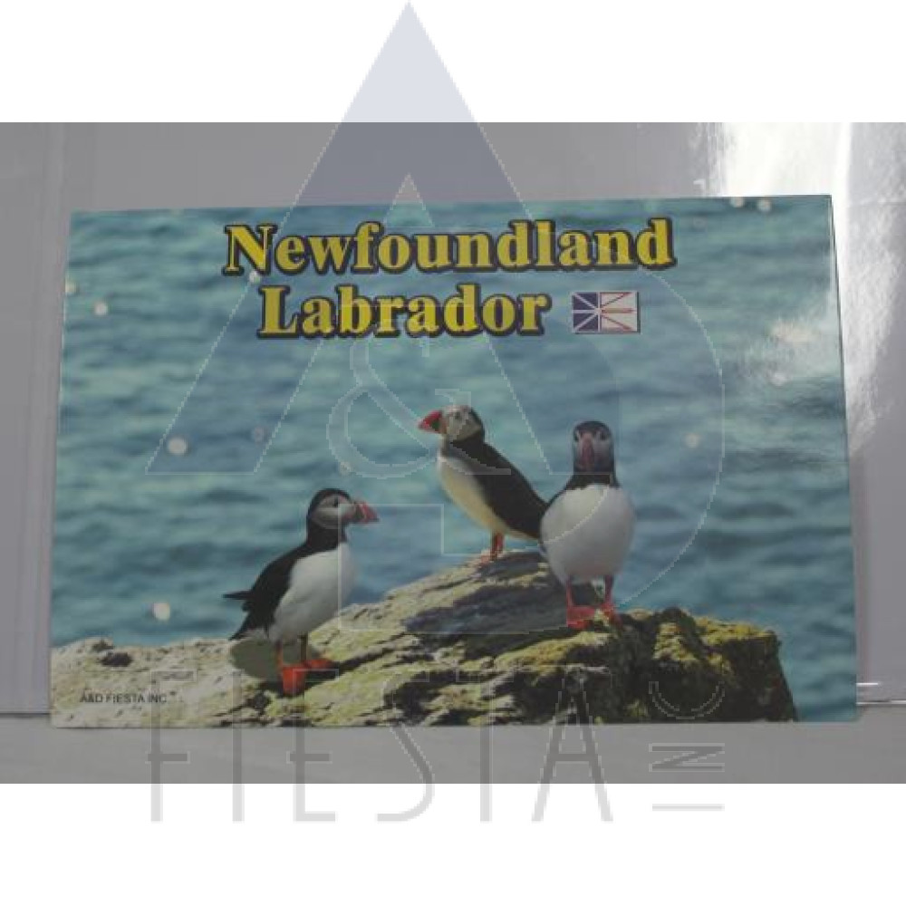 NEWFOUNDLAND LABRADOR POST CARD PUFFIN