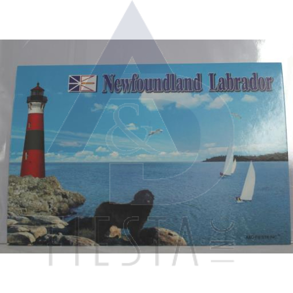 NEWFOUNDLAND LABRADOR POST CARD LIGHTHOUSE