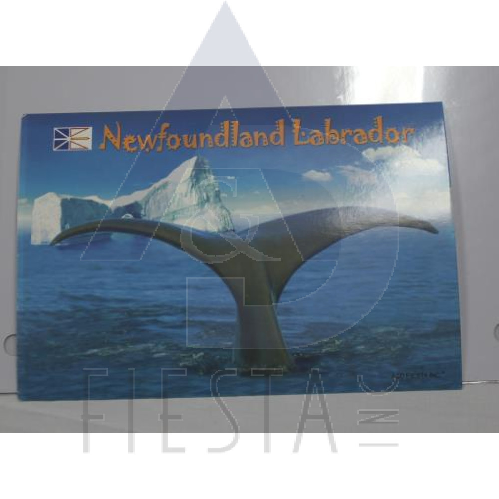 NEWFOUNDLAND LABRADOR POST CARD WHALE TAIL
