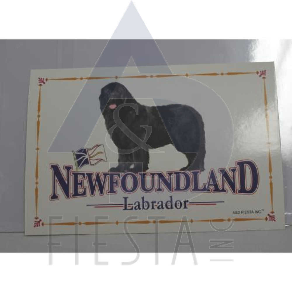 NEWFOUNDLAND LABRADOR POST CARD DOG