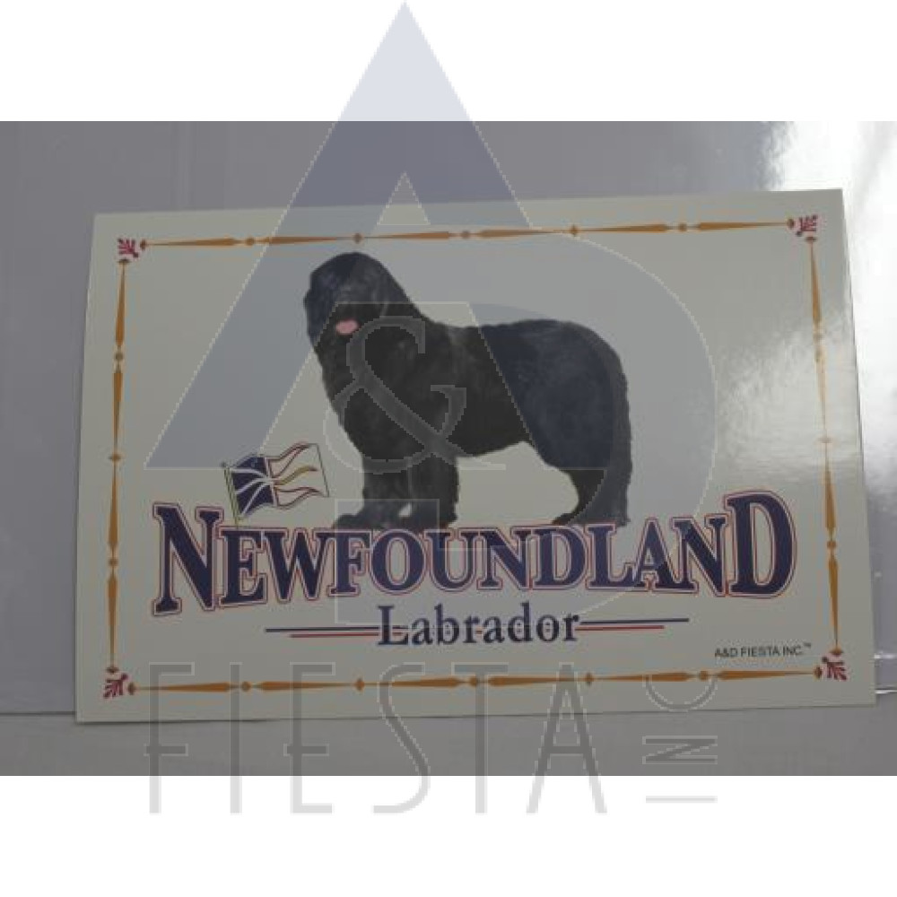 NEWFOUNDLAND LABRADOR POSTCARD DOG