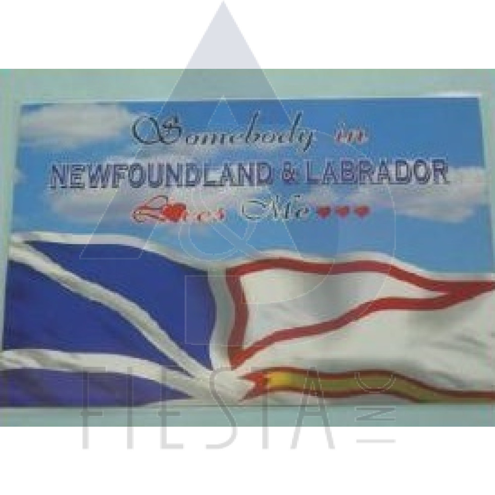 NEWFOUNDLAND LABRADOR PLACEMAT FLAG DESIGN