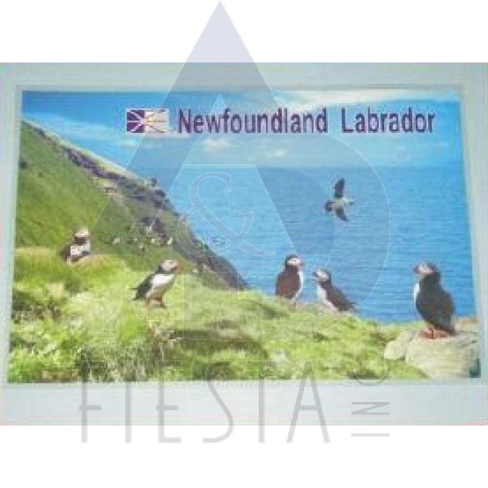 NEWFOUNDLAND LABRADOR PLACEMAT PUFFIN DESIGN