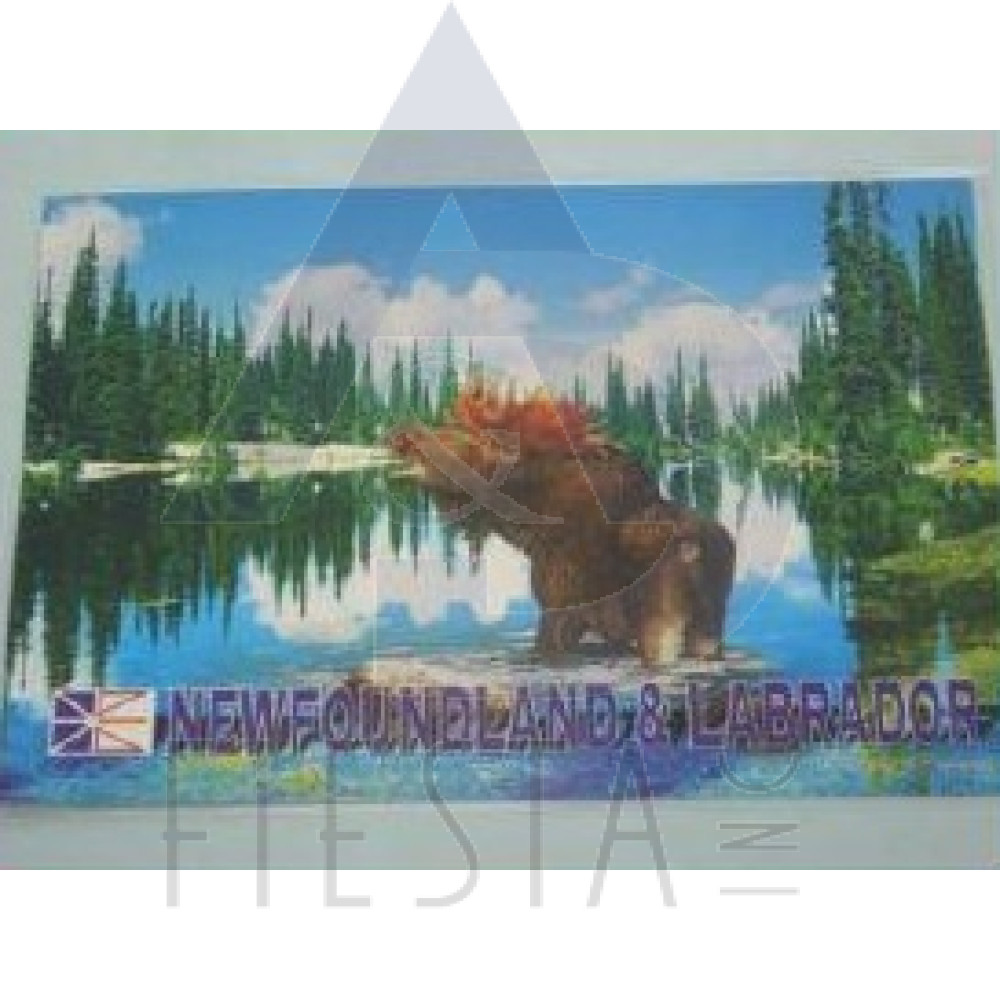 NEWFOUNDLAND LABRADOR PLACEMAT MOOSE DESIGN