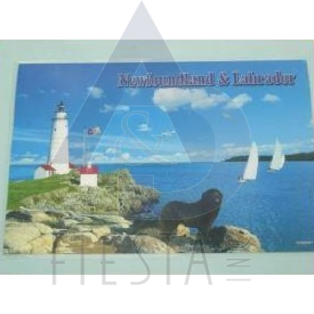 NEWFOUNDLAND LABRADOR PLACEMAT LIGHTHOUSE DESIGN