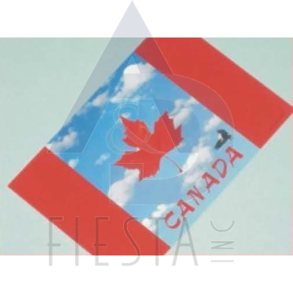 CANADA POST CARD CANADA FLAG WITH BIRD