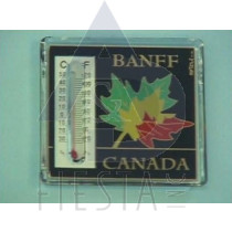 BANFF ACRYLIC THERMOMETER