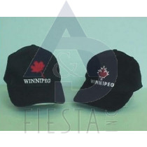 WINNIPEG BRUSHED COTTON CAP 4 ASSORTED