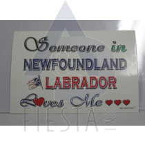 NEWFOUNDLAND LABRADOR POST CARD "SOMEONE LOVES ME"