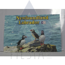 NEWFOUNDLAND LABRADOR POST CARD PUFFIN