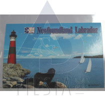 NEWFOUNDLAND LABRADOR POST CARD LIGHTHOUSE