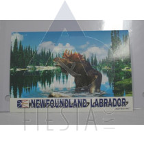 NEWFOUNDLAND LABRADOR POST CARD MOOSE IN WATER