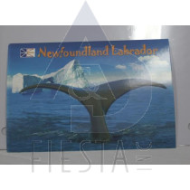 NEWFOUNDLAND LABRADOR POST CARD WHALE TAIL