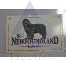 NEWFOUNDLAND LABRADOR POST CARD DOG