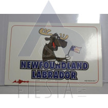 NEWFOUNDLAND LABRADOR POST CARD HAPPY MOOSE