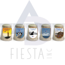 NEWFOUNDLAND LABRADOR ASSORTED THIMBLES IN ACRYLIC BOX