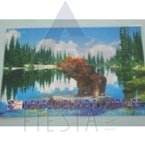 NEWFOUNDLAND LABRADOR PLACEMAT MOOSE DESIGN