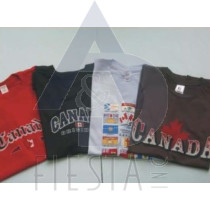 CANADA ADULT COLORED T-SHIRTS ASSORTED DESIGNS & SIZES