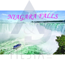 NIAGARA FALLS POST CARD WITH THE MAID OF THE MIST