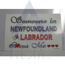 NEWFOUNDLAND LABRADOR POSTCARD "SOMEONE LOVES ME"