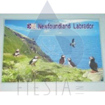 NEWFOUNDLAND LABRADOR PLACEMAT PUFFIN WITH WATER